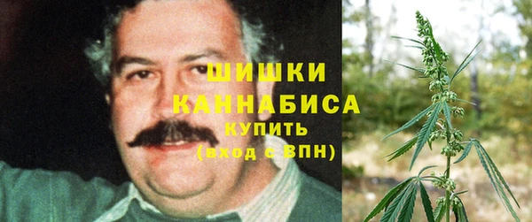 марки nbome Заводоуковск