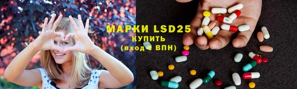 ПСИЛОЦИБИНОВЫЕ ГРИБЫ Зеленодольск
