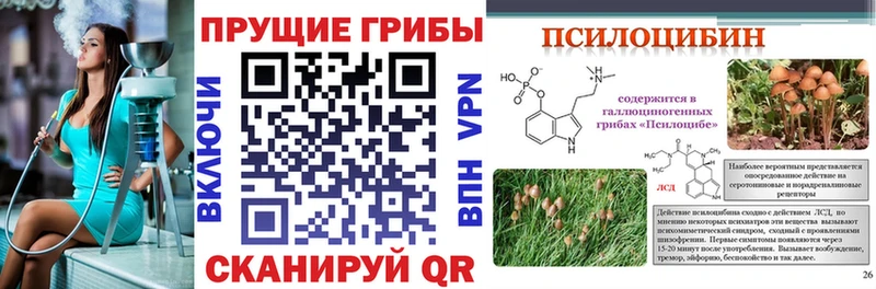 Купить где Дубна Галлюциногенные грибы ЛСД